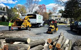 Best Tree Health Inspection  in Sebree, KY