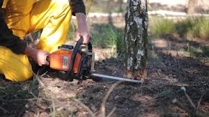 Best Lawn Mowing  in Sebree, KY