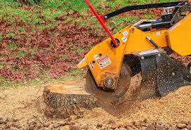 Best Emergency Tree Removal  in Sebree, KY