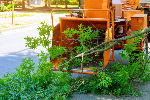 Grass Overseeding in Sebree, KY