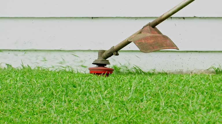 Best Tree Preservation Services  in Sebree, KY