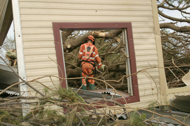 Best Firewood Processing and Delivery  in Sebree, KY